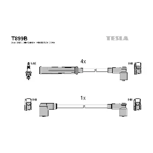 T899B TESLA