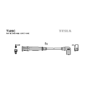T389C TESLA