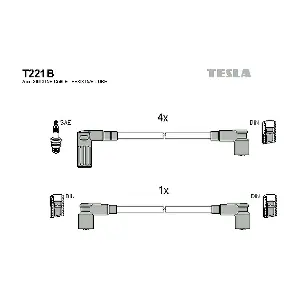 T221B TESLA