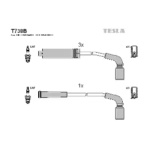 T738B TESLA