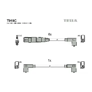 T 918 C TESLA