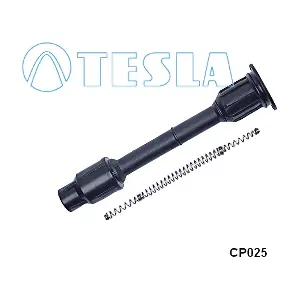 CP025 TESLA