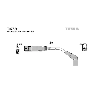 T075B TESLA