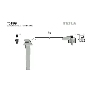 T548G TESLA
