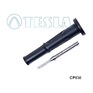 CP030 TESLA