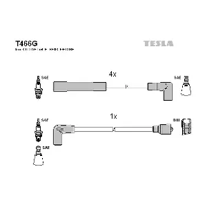 T466G TESLA