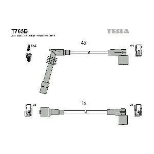 T765B TESLA
