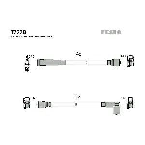 T222B TESLA