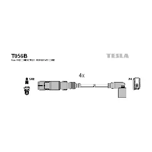 T056B TESLA