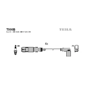T098B TESLA
