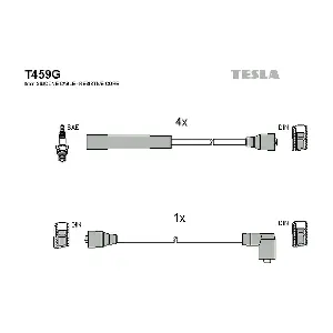 T459G TESLA