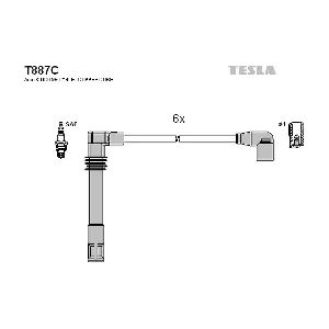 T887C TESLA