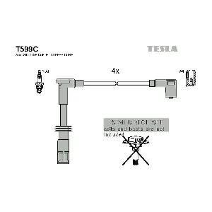 T599C TESLA