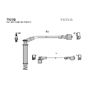 T929B TESLA