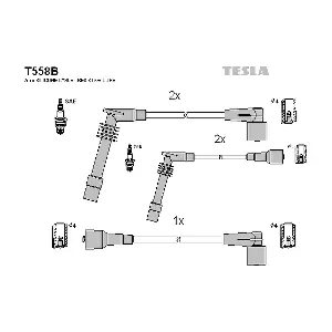T558B TESLA
