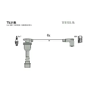 T531B TESLA