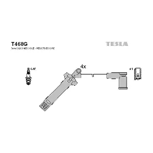 T468G TESLA