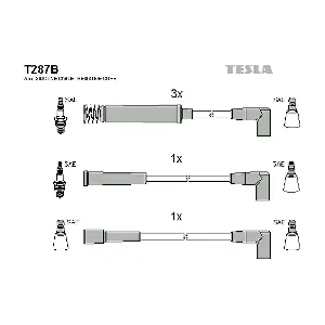 T 287 B TESLA