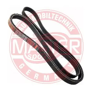 6PK2460-PCS-MS MASTER-SPORT GERMANY