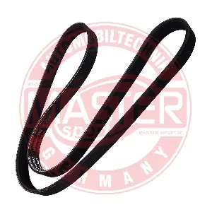 6PK1153-PCS-MS MASTER-SPORT GERMANY