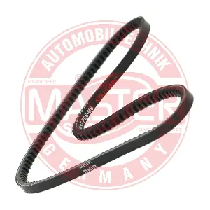 AVX-10X850-ST-PCS-MS MASTER-SPORT GERMANY