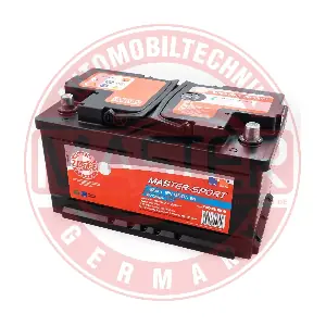 780858502 MASTER-SPORT GERMANY