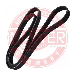 6PK1700-PCS-MS MASTER-SPORT GERMANY