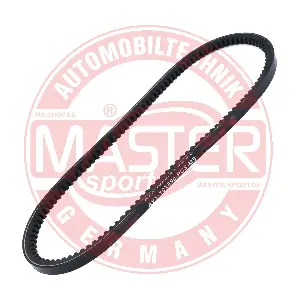 AVX-10X690-PCS-MS MASTER-SPORT GERMANY