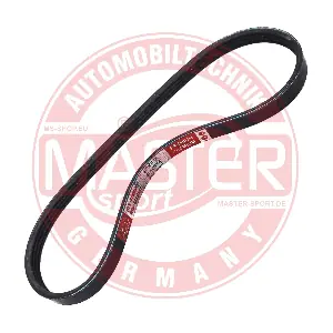4PK650-PCS-MS MASTER-SPORT GERMANY