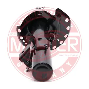 318316-PCS-MS MASTER-SPORT GERMANY