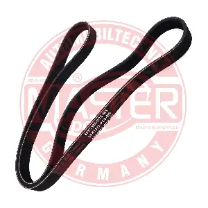 6PK1325-PCS-MS MASTER-SPORT GERMANY