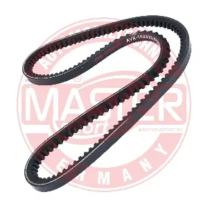 AVX-10X825-PCS-MS MASTER-SPORT GERMANY