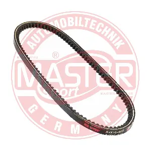 AVX-10X600-PCS-MS MASTER-SPORT GERMANY