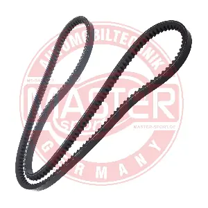 AVX-13X1321-PCS-MS MASTER-SPORT GERMANY