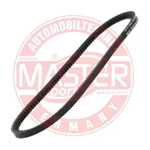 AVX-10X710-PCS-MS MASTER-SPORT GERMANY
