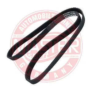 6PK1250-PCS-MS MASTER-SPORT GERMANY