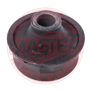 25350-PCS-MS MASTER-SPORT GERMANY