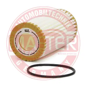 6013Z-OFS-PCS-MS MASTER-SPORT GERMANY