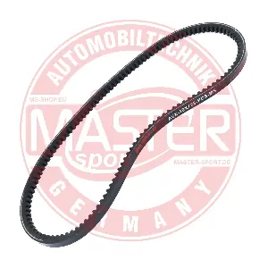 AVX-10X725-PCS-MS MASTER-SPORT GERMANY