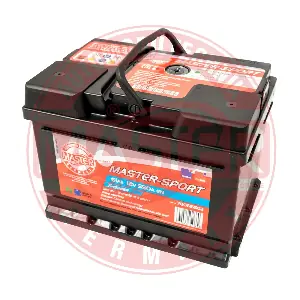 780615502 MASTER-SPORT GERMANY