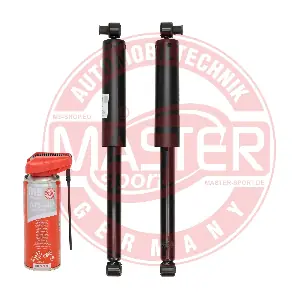 16K006242P MASTER-SPORT GERMANY