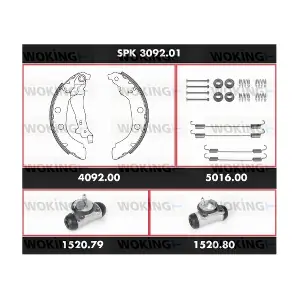 SPK309201 WOKING