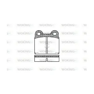 P1073.20 WOKING