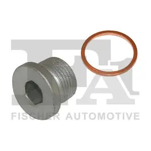 257.858.011 FA1