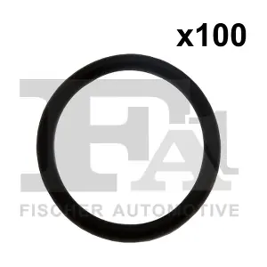 244.855.100 FA1