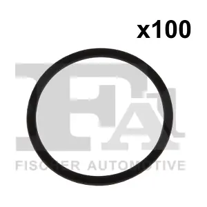 076.429.100 FA1