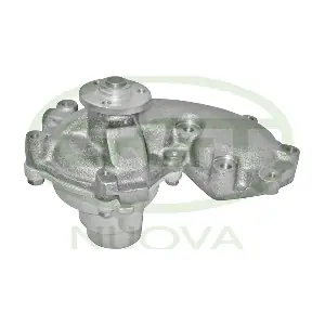 PA10687 GGT