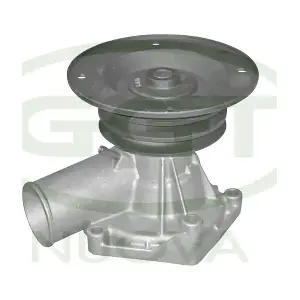 PA10007 GGT
