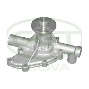 PA10033 GGT