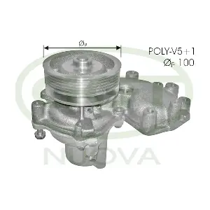 PA10557 GGT